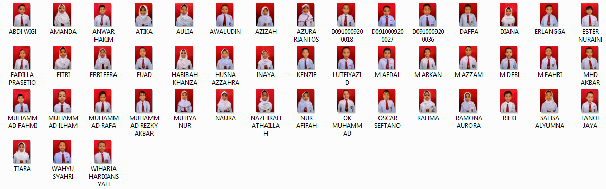 Asesmen Sumatif Akhir Semester Genap Kelas VI